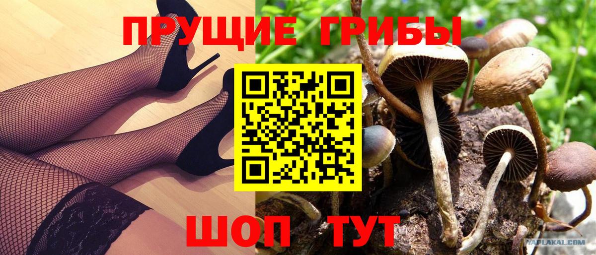 Псилоцибиновые грибы Magic Shrooms  Вход с VPN  Псилоцибиновые грибы ЛСД  Туапсе 
